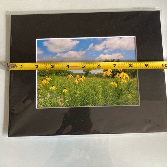 Flower Field Matted Art Photography Ready To Frame - Picture 5 of 5